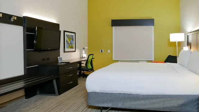 Standard, King Bed, Holiday Inn Express and Suites St. Petersburg North (I-275), an IHG Hotel 3/8