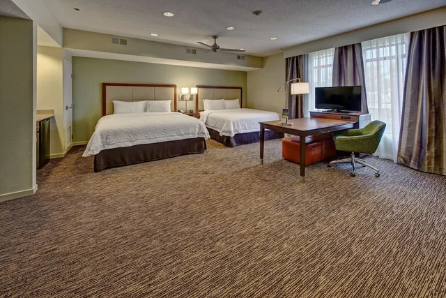 جناح بسريرين كينج مع أريكة، Hampton Inn Savannah I 95 North 1/3