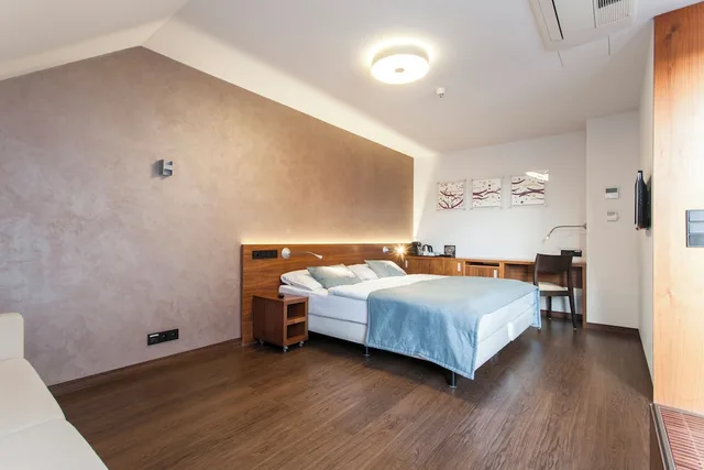 Executive, Suite, Queen Bed, Sofa, CAROL HOTEL 3/6