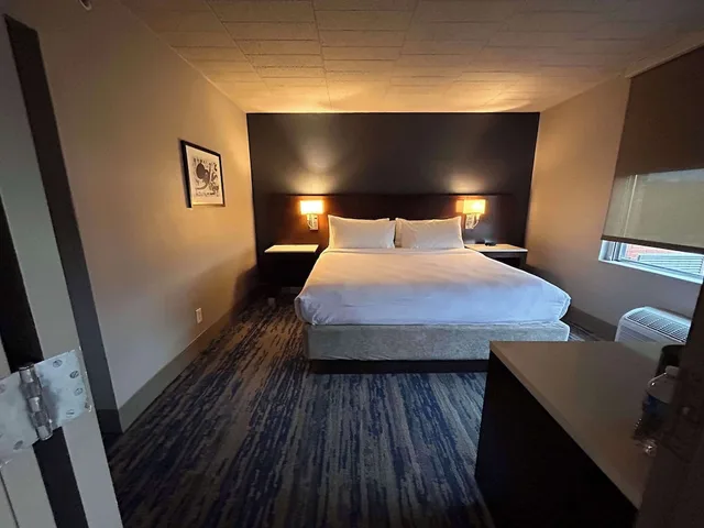جناح بسرير كينج مع أريكة بمنطقة جلوس، Skyline Hotel Detroit Airport, SureStay Collection by BW 1/5