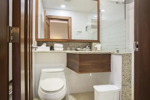 Executive, King Bed, Hotel Quito by Sercotel 9/9