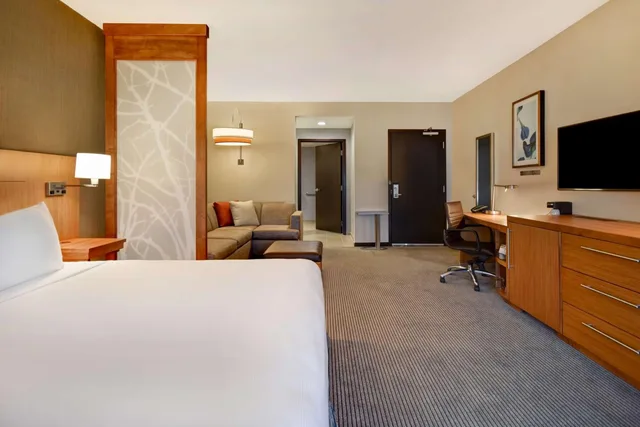 غرفة بسرير كينج مع أريكة بحوض استحمام لذوي الإعاقة، Hyatt Place Huntsville 1/5