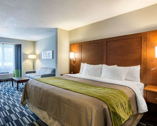جناح بسرير كينج، Quality Inn Suites Ashland Near Kings Dominion 1/2