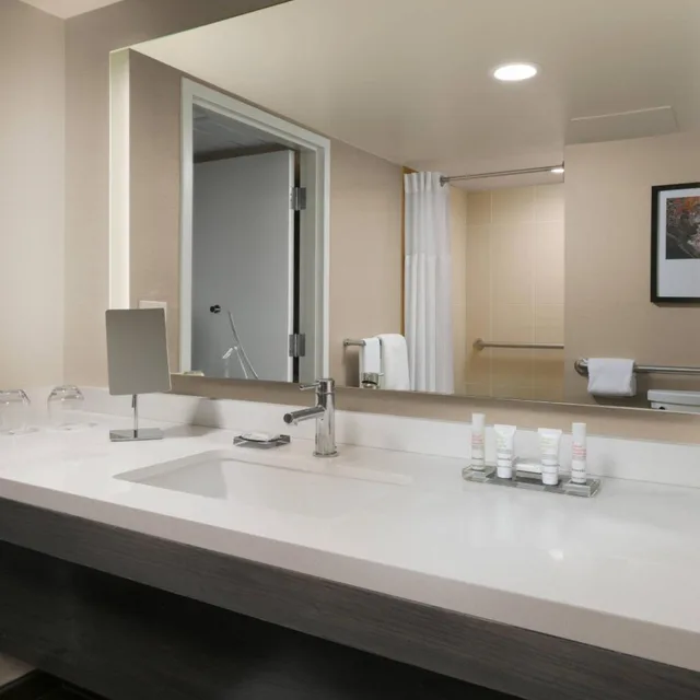 Guest Room, King bed, Houston Marriott Medical Center/Museum District 5/5