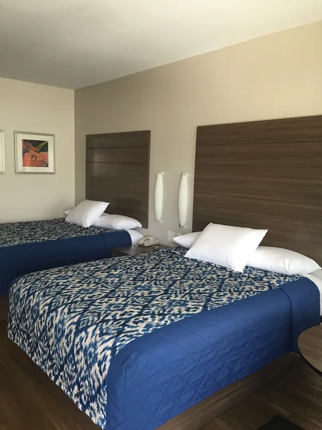 Standard, 2 Double Beds, Palace Inn Gulfgate 2/4