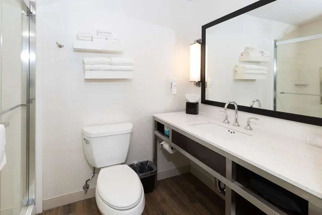 Room, King Bed, Bathtub, Accessible, HILTON GARDEN INN AUSTIN AIRPORT 1/2