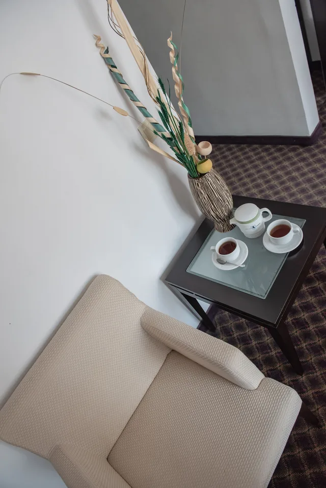 غرفة قياسية بسريرين منفصلين، Hotel Sumadija 8/8