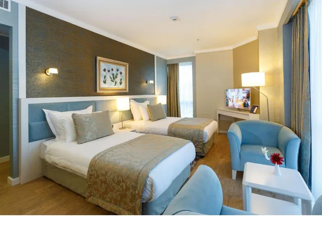 غرفة قياسية بسرير مزدوج أو سريرين منفصلين، Byotell Hotel Istanbul 1/2
