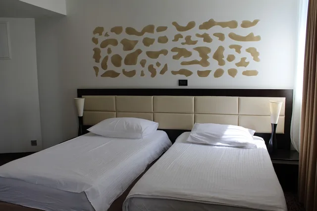 غرفة قياسية بسريرين منفصلين، Hotel Diplomat 1/10