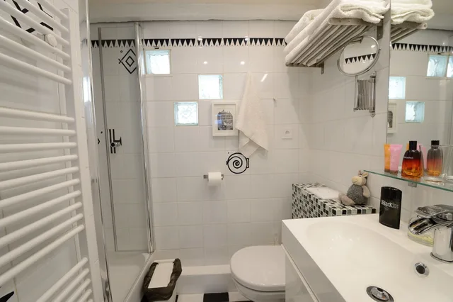White, Economy, Family, Studio, Single Bed, Sofa, Les Patios Du Marais 2/2
