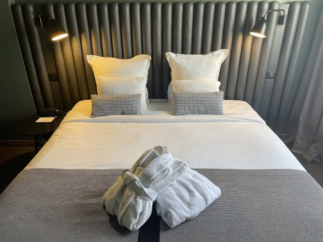 غرفة ديلوكس بسرير مزدوج، Hotel Diana Dauphine 2/5