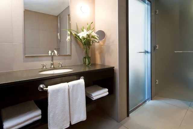 Junior Suite, King Bed, with Extra Bed, Nh Buenos Aires Tango 5/5
