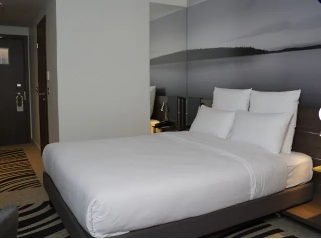غرفة سوبيريور بسرير مزدوج، NOVOTEL Bishkek City Center 2/3