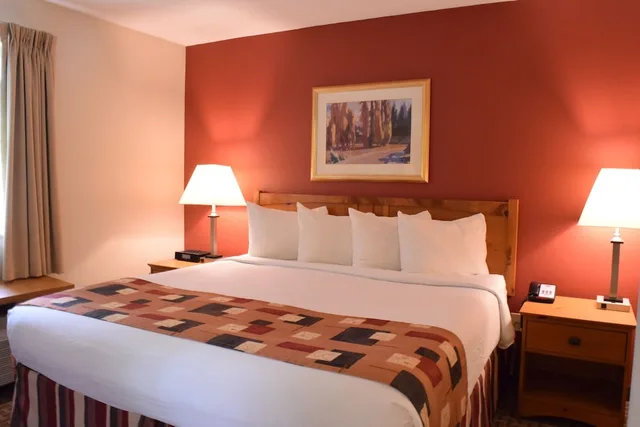 جناح استوديو بسرير كينج مع أريكة، Cresthill Suites Syracuse 1/1