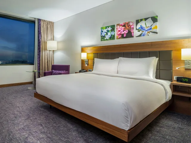 غرفة بسرير كوين لذوي الإعاقة، Accom Hotels Sivas 1/10