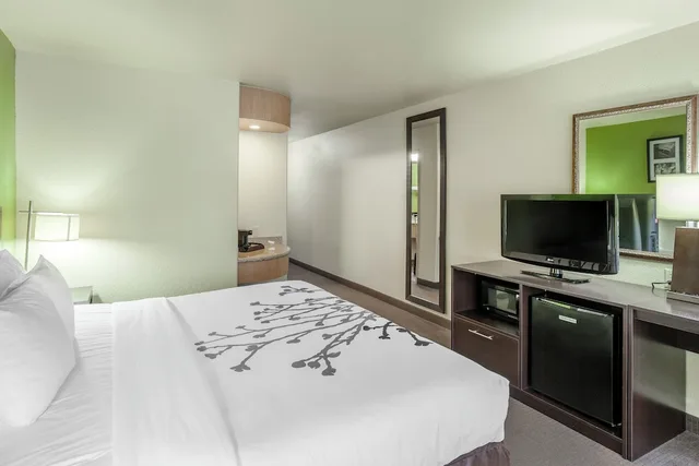 غرفة قياسية بسرير كينج، Sleep Inn & Suites Hewitt - South Waco 1/4