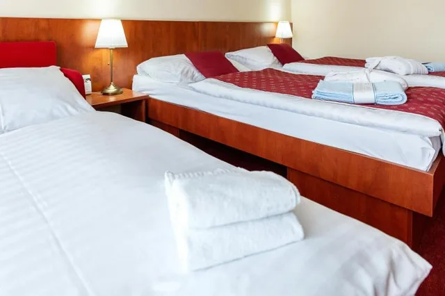 غرفة بسرير مزدوج أو سريرين منفصلين مع سرير إضافي، Hotel Senec Lake Resort 3/5