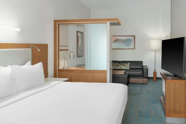 غرفة بسرير كينج لذوي الإعاقة، SpringHill Suites Detroit Auburn Hills 2/10