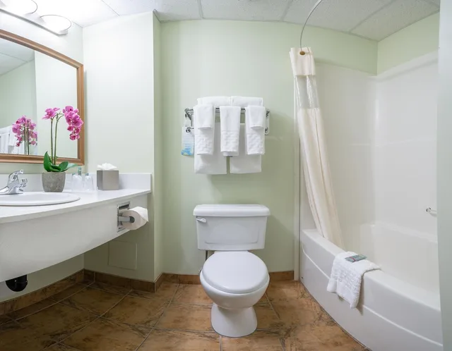جناح استوديو بسرير كينج، Service Plus Inns and Suites Calgary 3/5