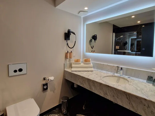 غرفة سوبيريور بسرير كوين، MERCURE ORLEANS CENTRE 4/5