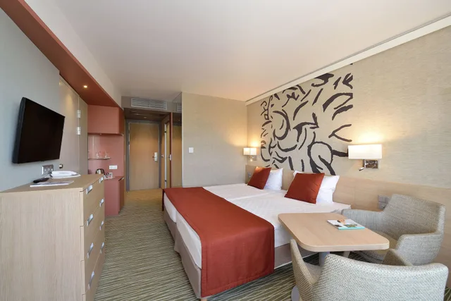 غرفة تنفيذية بسرير مزدوج أو سريرين منفصلين، DANUBIUS HEALTH SPA RESORT BUK 4/6