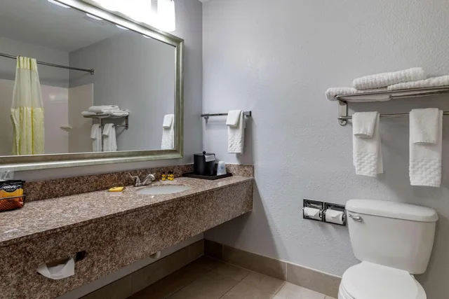 جناح بسرير كينج مع أريكة بجاكوزي، Best Western Plus Orange County 4/4