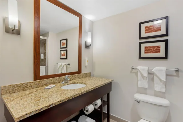 جناح بسرير كينج، Comfort Inn & Suites Sayre, PA 6/6