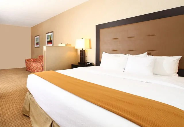 غرفة قياسية بسرير كينج مع أريكة، Holiday Inn Express Hotel And Suites Olathe North 1/3