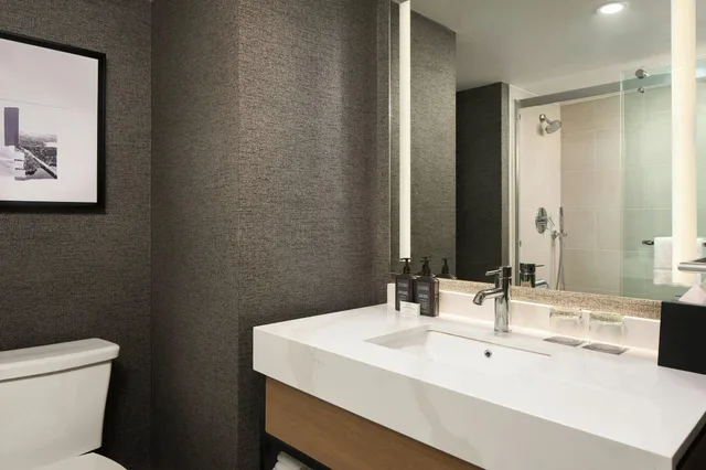 غرفة بسرير كينج لذوي الإعاقة، Sheraton Baltimore North Hotel 2/2