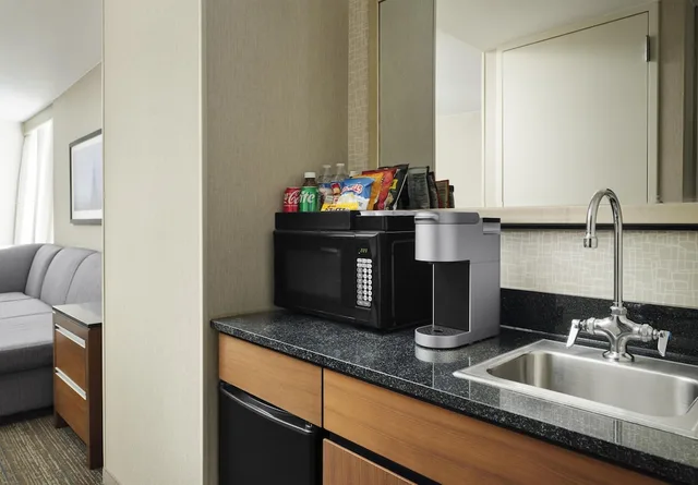 جناح بريميوم بسرير كينج مع أريكة، Embassy Suites by Hilton Chicago Downtown Magnificent Mile 7/7