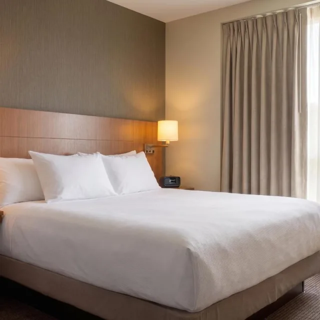 جناح استوديو بسرير كينج، Hyatt Place Nashville Airport 1/3