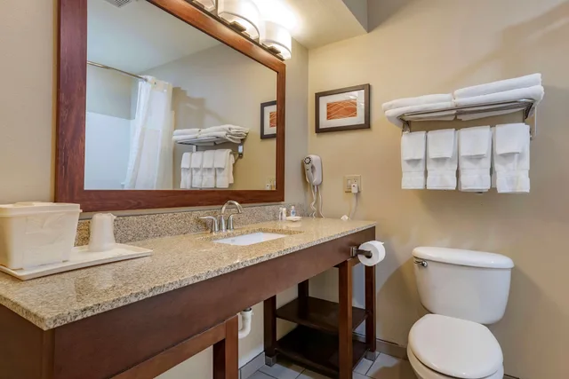غرفة بسريرين كوين، Comfort Inn Amite City 8/8