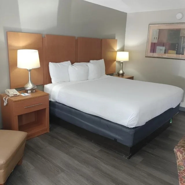 غرفة بسرير كينج يُسمح فيها بالحيوانات الأليفة، Clarion Inn Southern Pines - Pinehurst 2/4