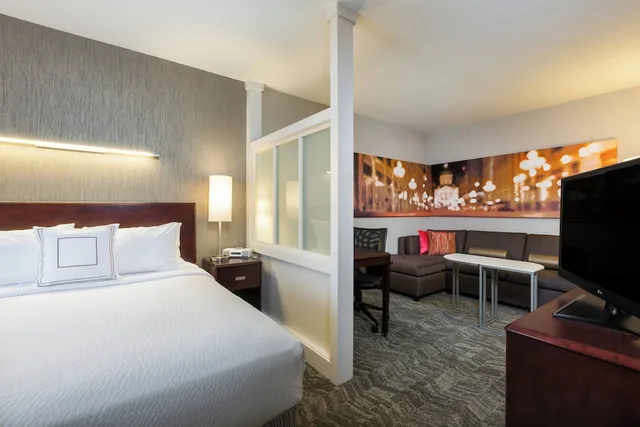 جناح بسرير كينج مع أريكة، Springhill Suites By Marriott Indianapolis Fishers 2/4