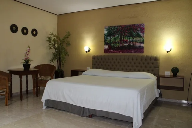 غرفة قياسية بسرير كينج، SUITE HOTEL MARIA DE LA LUZ 6/10