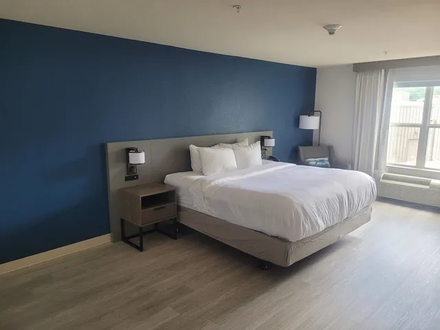 غرفة بسرير كينج لذوي الإعاقة، Comfort Inn & Suites Dothan Northside Plaza 5/10