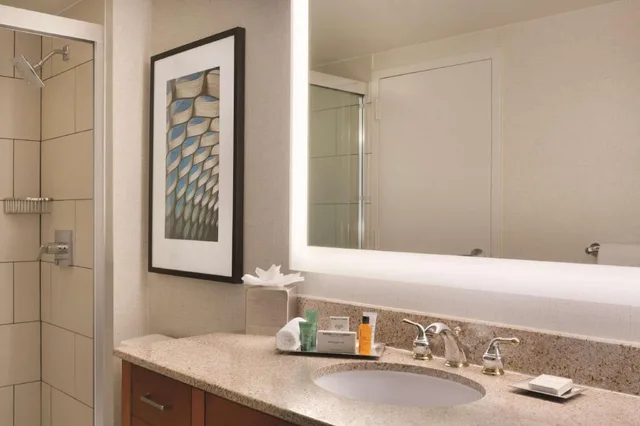 جناح رئاسي بسرير كينج بغرفة نوم واحدة مع أريكة، Hilton Chicago Magnificent Mile Suites 2/3