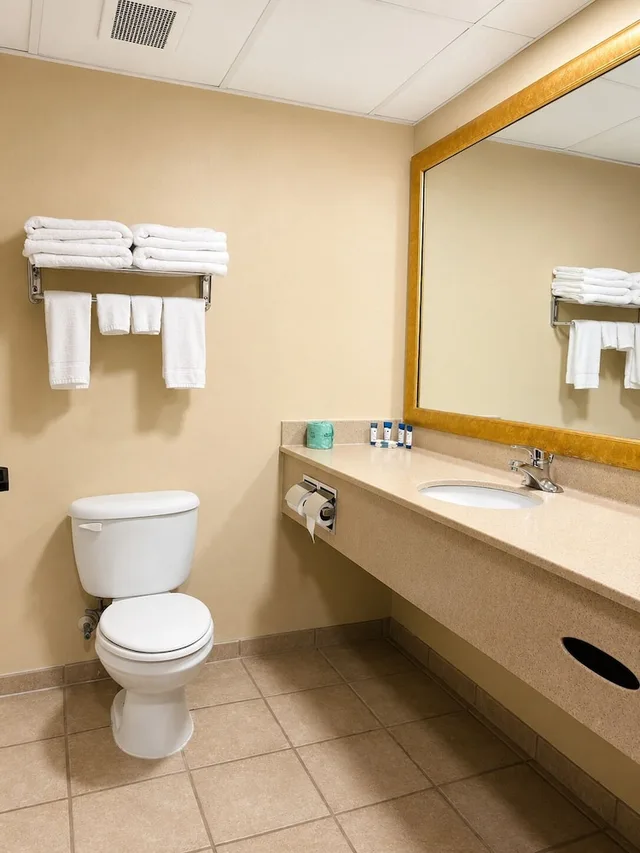 جناح بسرير كينج بجاكوزي، Hotel M Mount Pocono 10/10