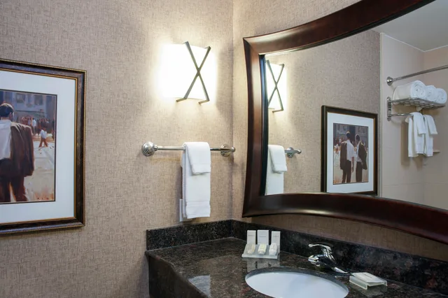 غرفة بسرير كينج بحوض جاكوزي لذوي الإعاقة، Hilton Garden Inn Columbus Edinburgh In 2/3