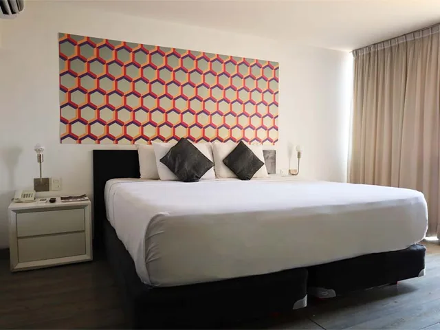 غرفة اقتصادية بسرير كينج، Hotel El Ejecutivo by Reforma Avenue 2/2