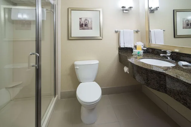 Evolution, King Bed، Hilton Garden Inn Sioux Falls South 3/5