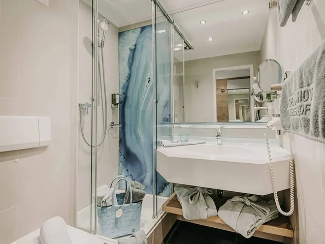 Panoramic, Single, Single Bed, Mountain View, Thermenhotel Sendlhof 1/1