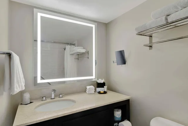 Suite, King Bed, Hotel Tampa Riverwalk 4/4