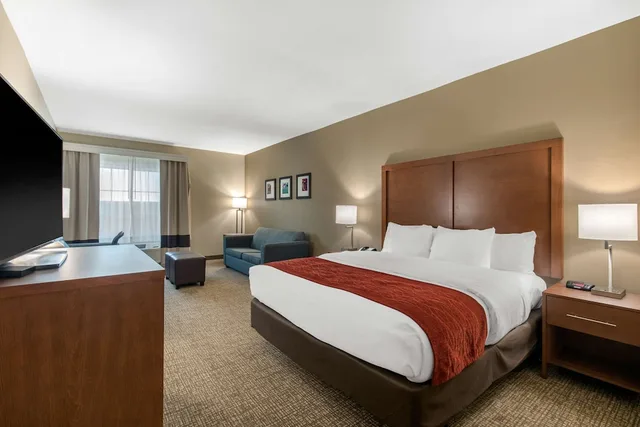 جناح بسرير كينج لذوي الإعاقة، Comfort Inn and Suites Cedar Hill Duncanville 1/3