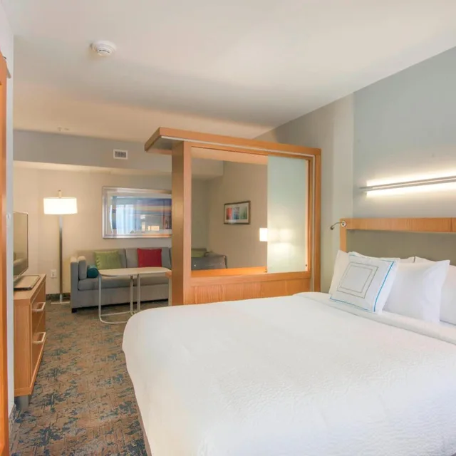 جناح بسرير كينج مع سرير سحّاب إضافي مع أريكة بحوض استحمام لذوي الإعاقة، Springhill Suites Wilmington Mayfaire 2/8