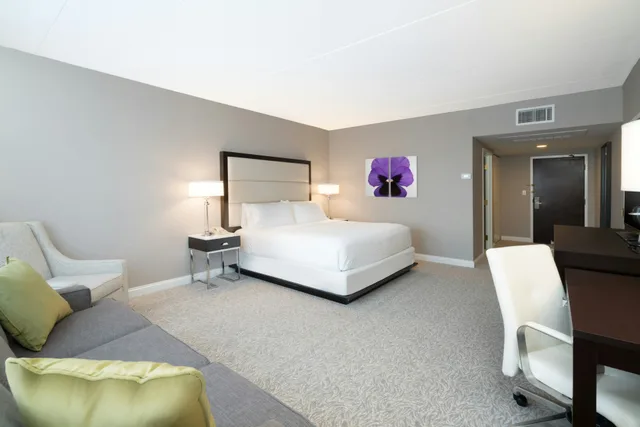 غرفة بسرير كينج لذوي الإعاقة، Holiday Inn Wilmington 3/3