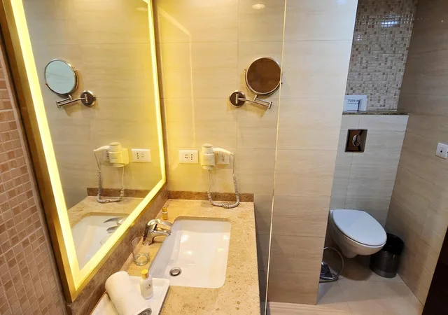 غرفة قياسية، Shervani Nehru Palace Hotel 8/9