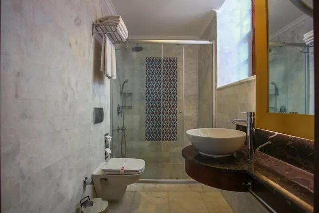 غرفة قياسية بسرير مزدوج، Alp Pasa Hotel 7/8