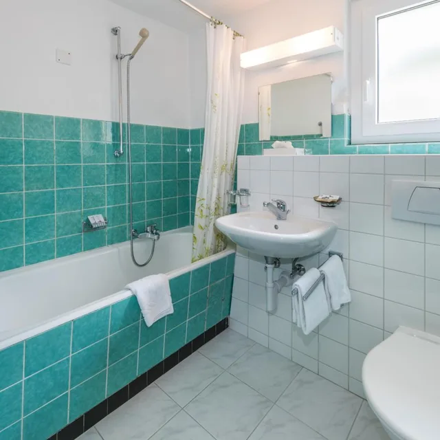 Room, Double Bed, Partial Mountain View, Balcony or Terrace، Hotel Rhodania 10/10