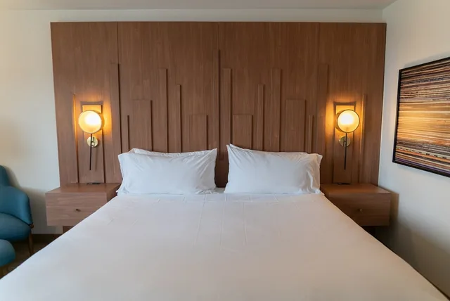غرفة قياسية بسرير كينج، Hotel Indigo Detroit Downtown 9/10